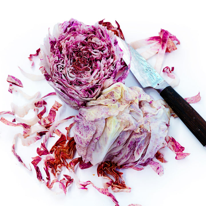 A cut head of Variegated of Lusia Radicchio with a knife on a white background.