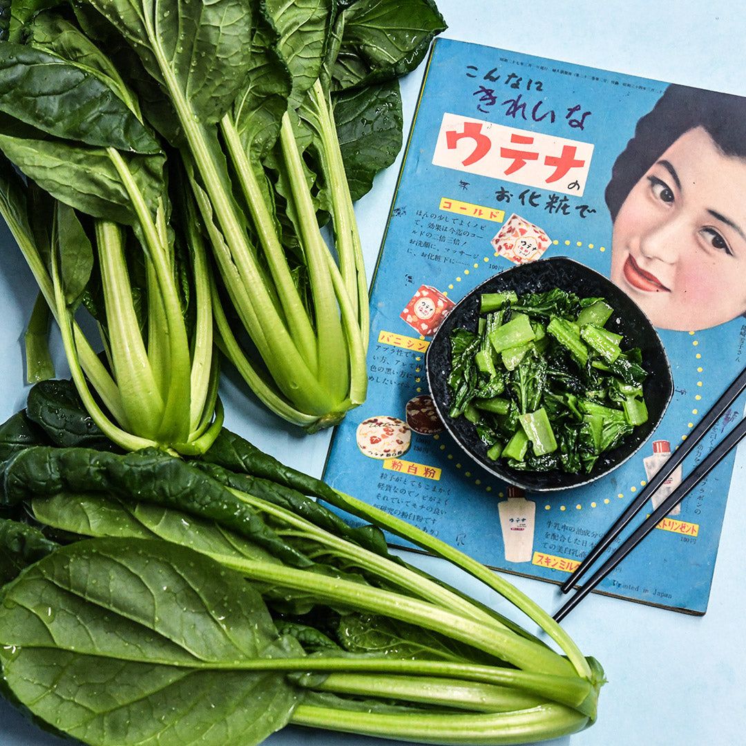 Three heads of Chijimisai with Japanese catalog with a bowl of sauteed greens on light blue background.
