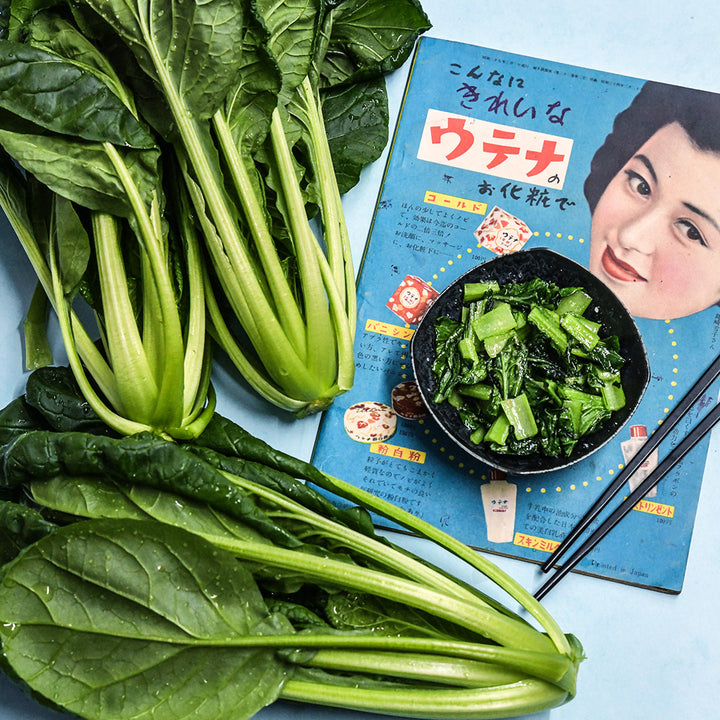 Three heads of Chijimisai with Japanese catalog with a bowl of sauteed greens on light blue background.