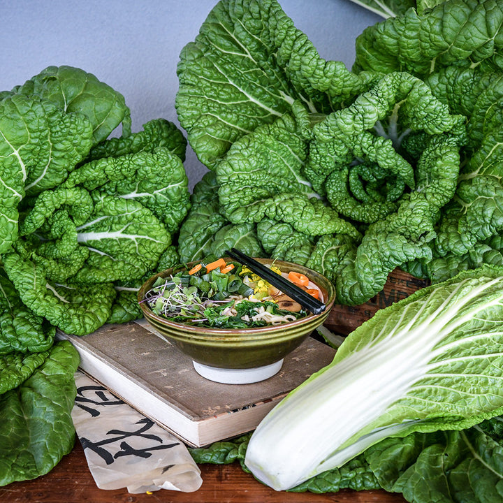 Nagasaki Late Chinese Cabbage heads with a Ramen noodle bowl.