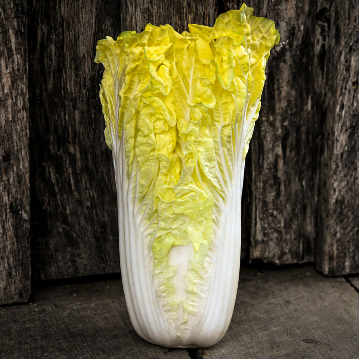 A single Golden Beauty Chinese Cabbage against a dark wooden wall.