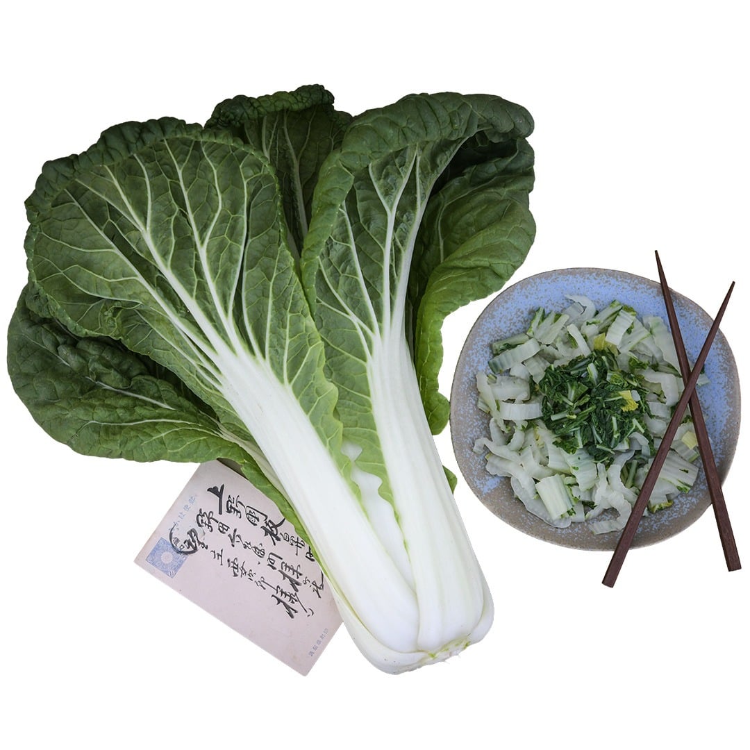 Nagasaki Late Chinese Cabbage with cooked cabbage and Japanese postcard on a white background.