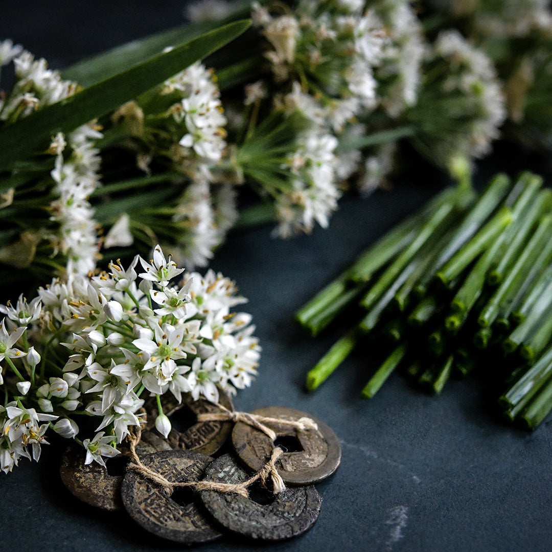 A close-up of Chinese Chives blooms and greens.