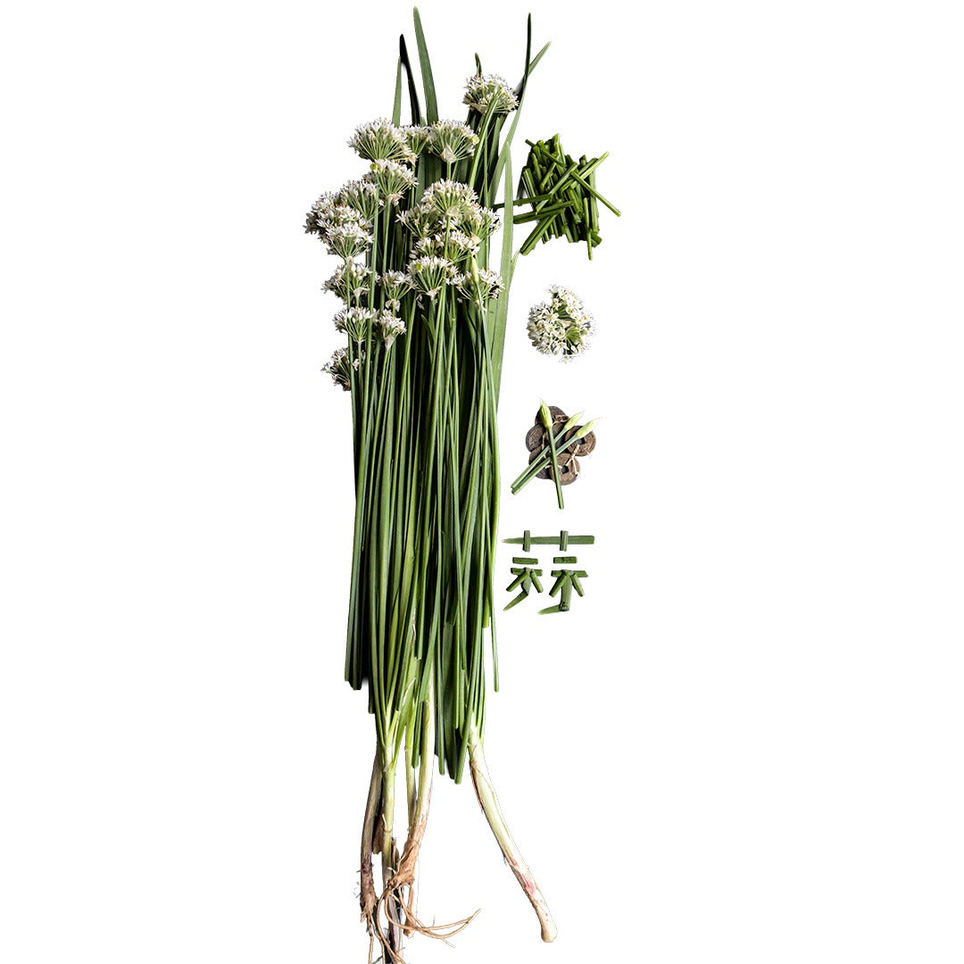 Overhead view of Chinese Chive on a white background.