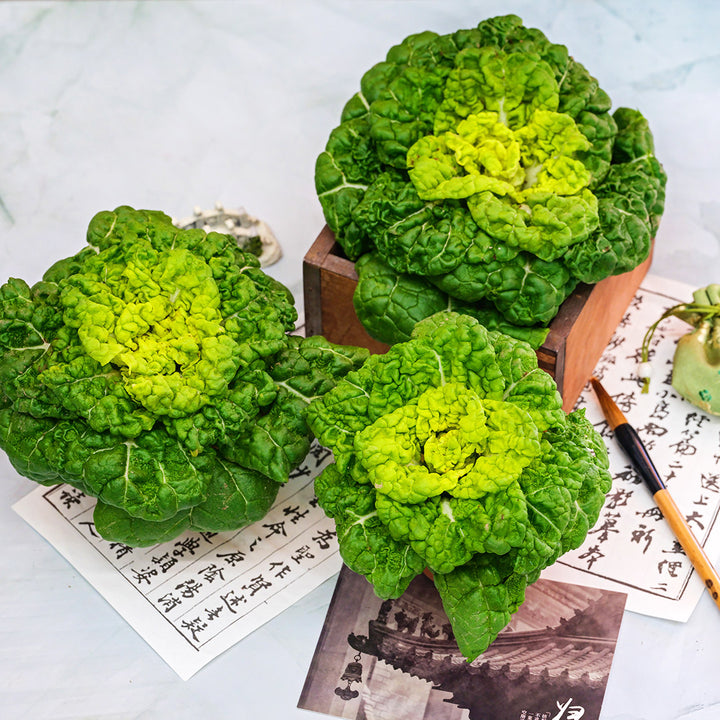 Three Yellow Heart Winter Choy heads in a wooden box with props.