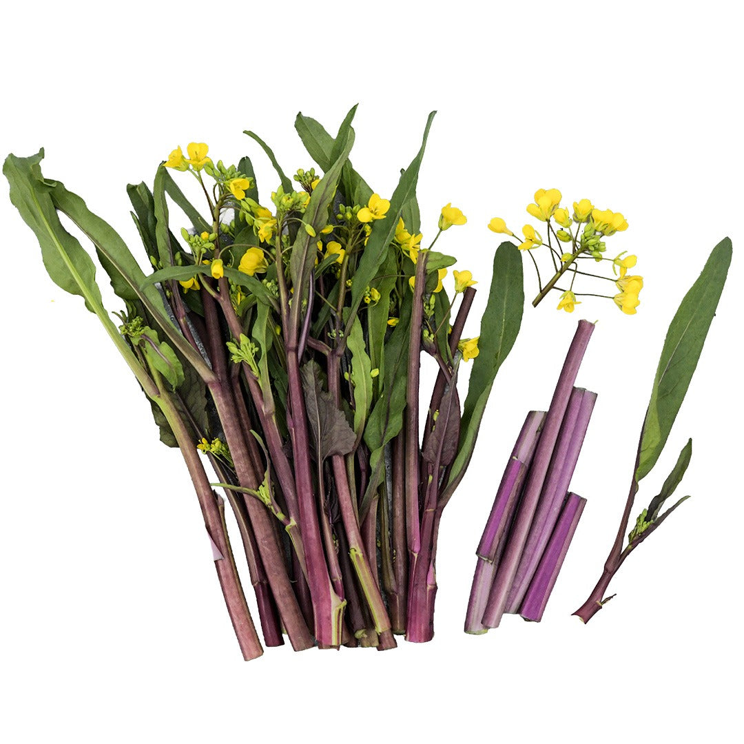 Choy Sum Seeds, Purple or Chinese Flowering Cabbage