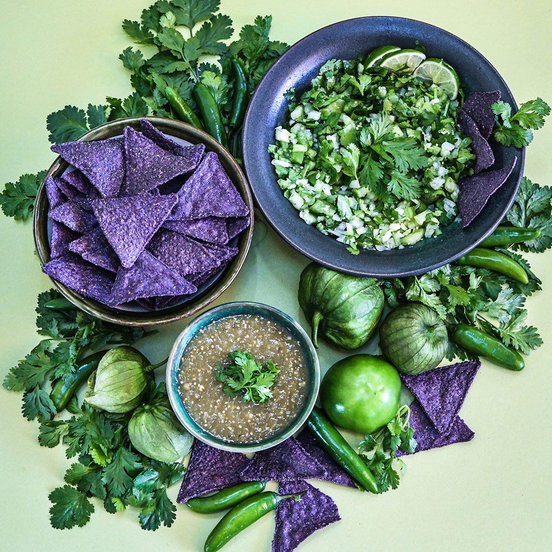 Slo-Bolt Cilantro with green tomatillo salsa and blue chips on light green background.