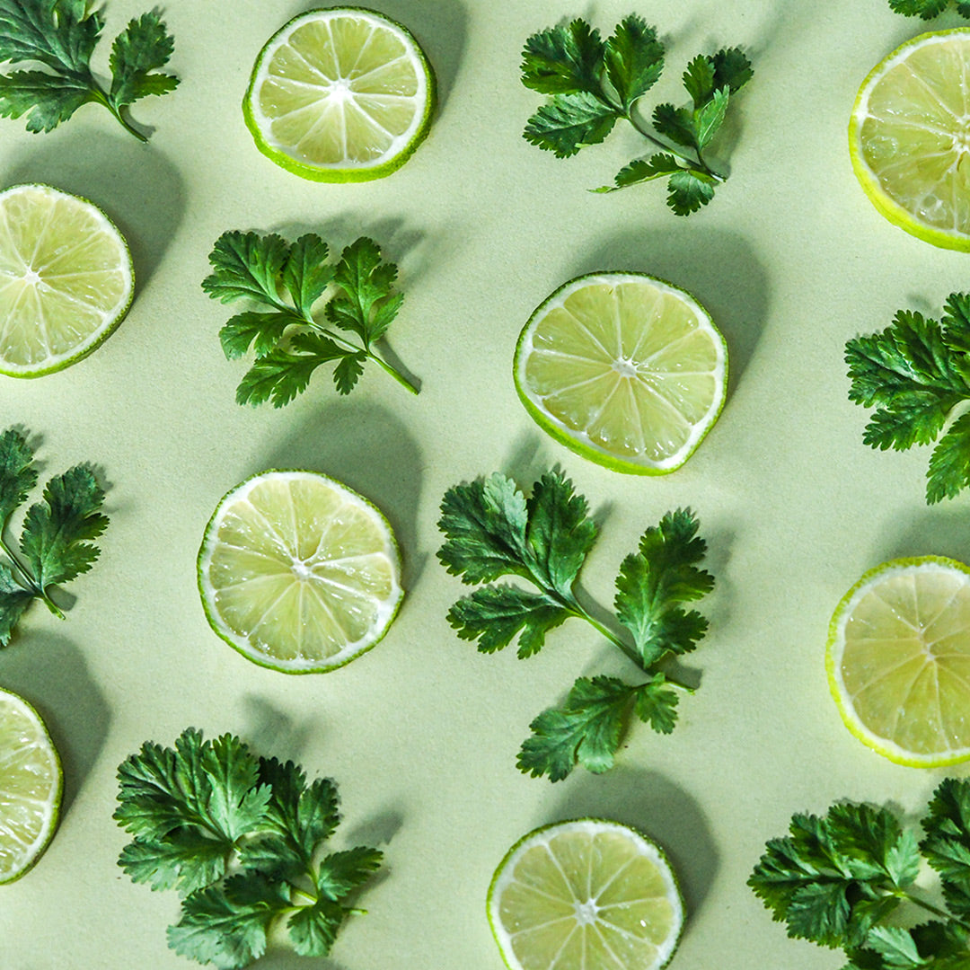 Cilantro leaves and limes slices in a row on light green background.