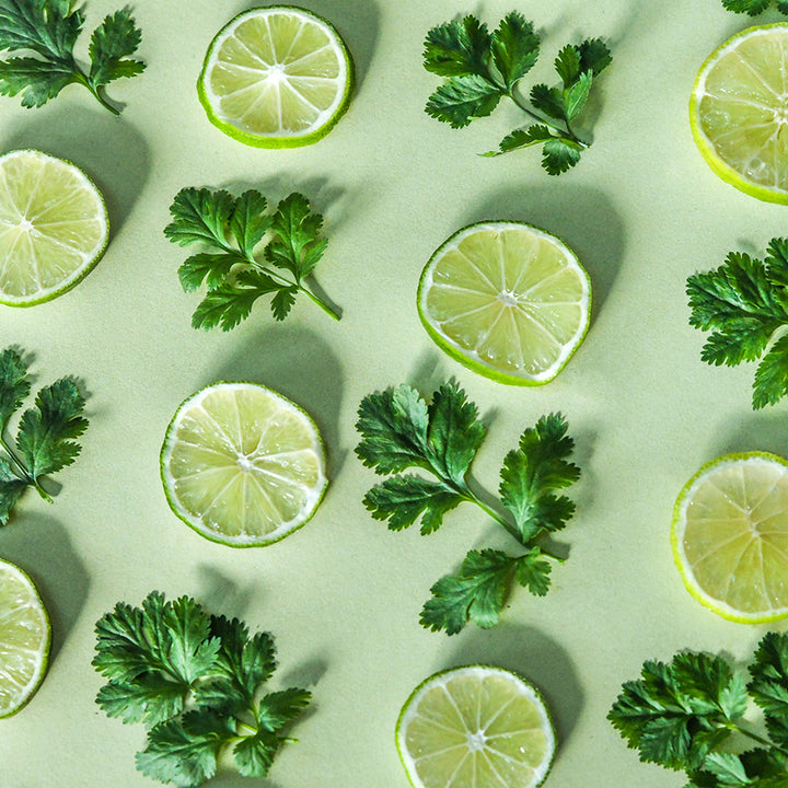 Cilantro leaves and limes slices in a row on light green background.