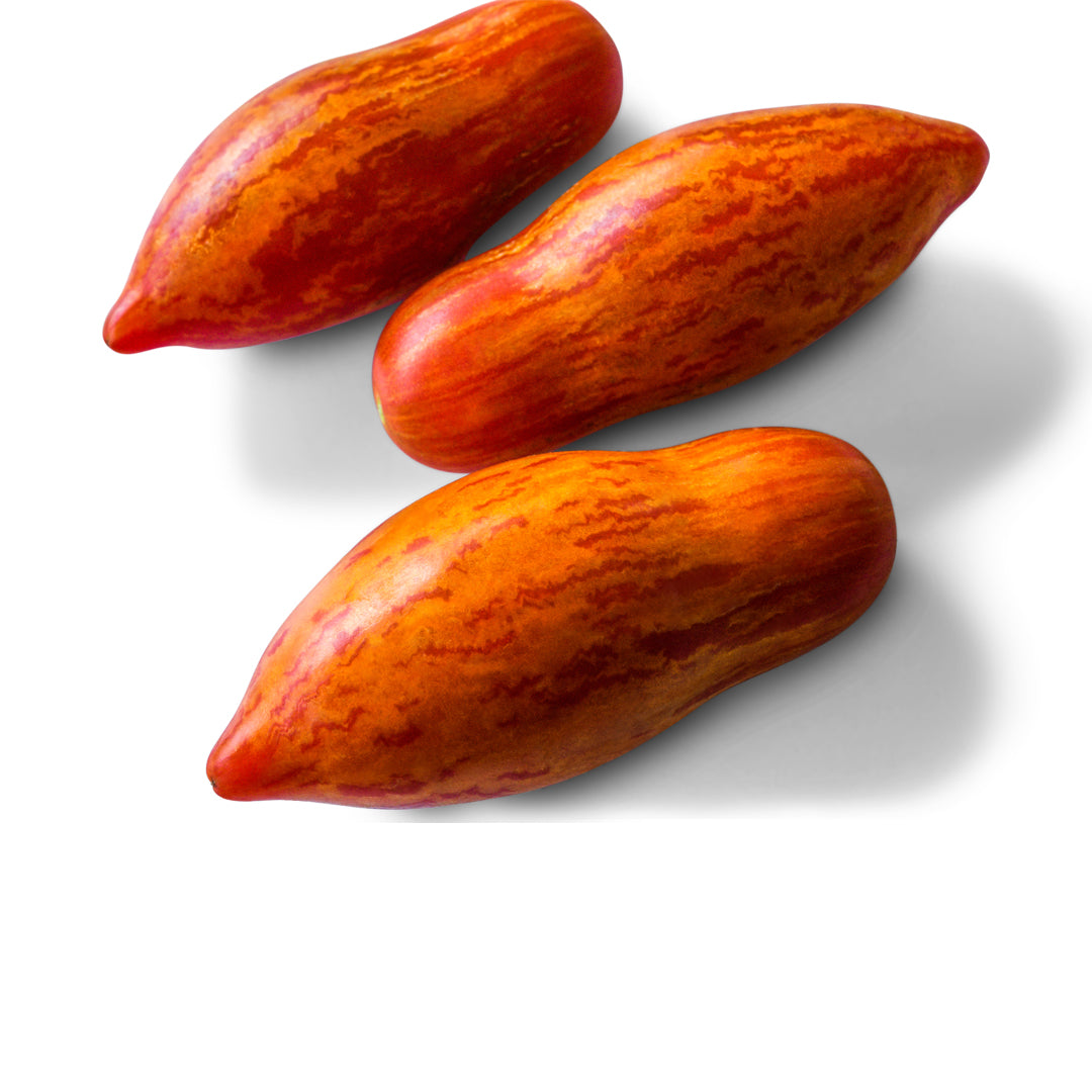 Tomato Seeds, Prairie Fire