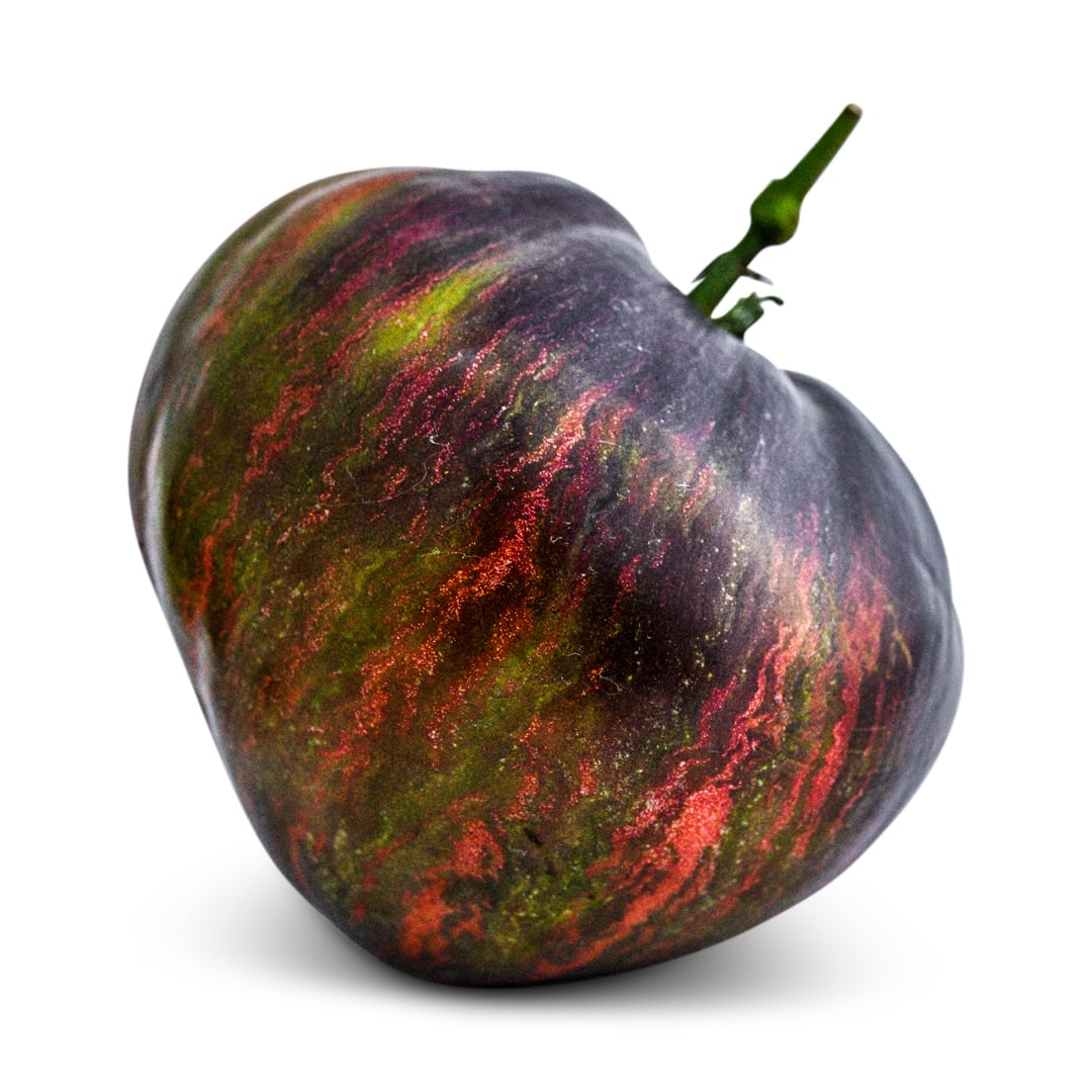 Single Rebel Starfighter Prime tomato on a white background.