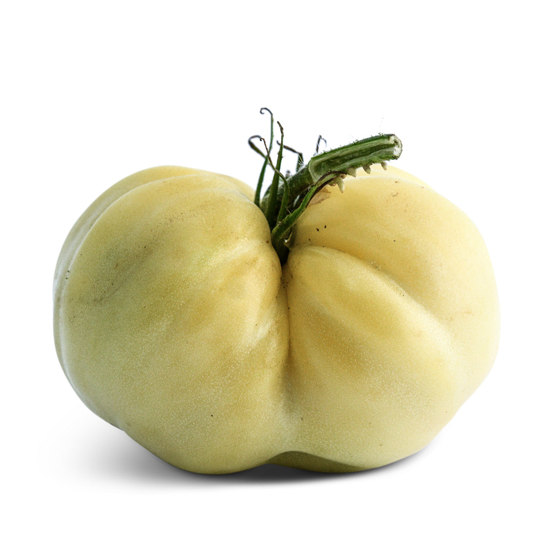 Tomato Seeds, White Beauty or Snowball