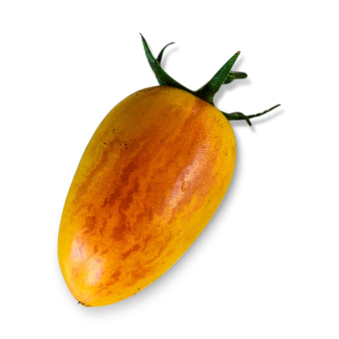 Tomato Seeds, Blush Tiger