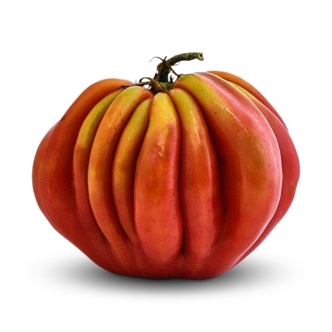 Tomato Seeds, Gezahnte