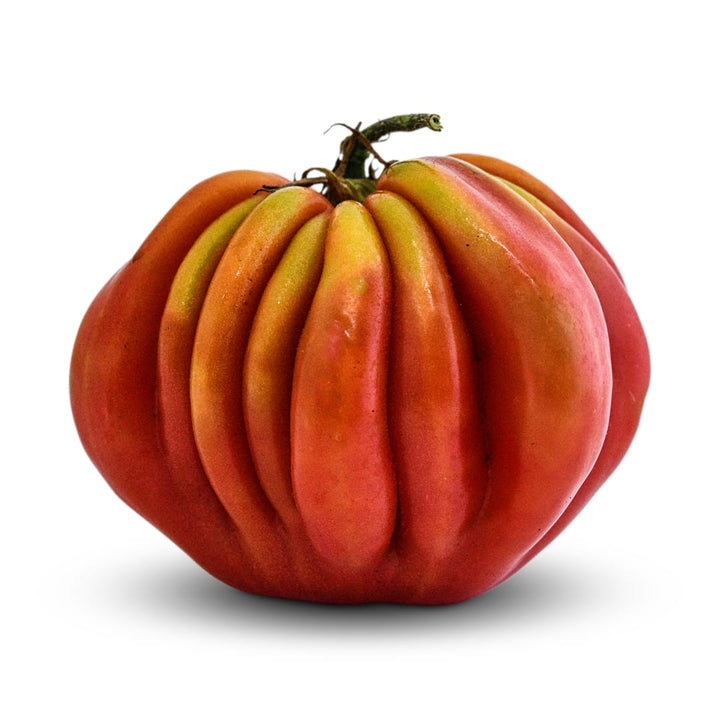 Tomato Seeds, Gezahnte