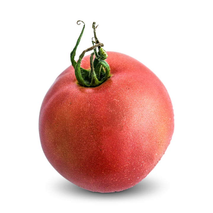 Tomato Seeds, Ozark Pink