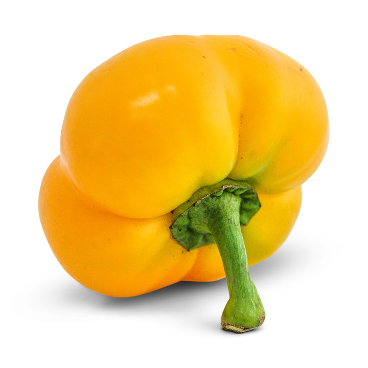 Sweet Pepper Seeds, Paradicsom Alaku