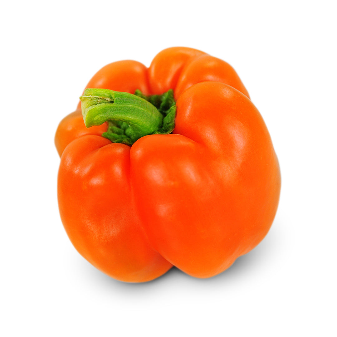 Sweet Pepper Seeds, Etiuda
