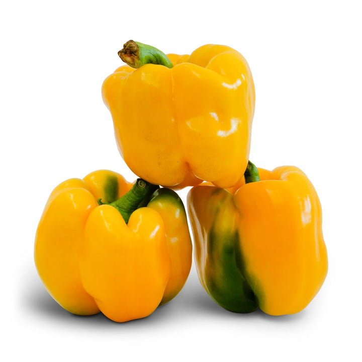 Sweet Pepper Seeds, Goldenmane Lion