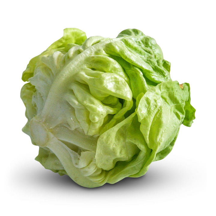 Lettuce Seeds, May Queen