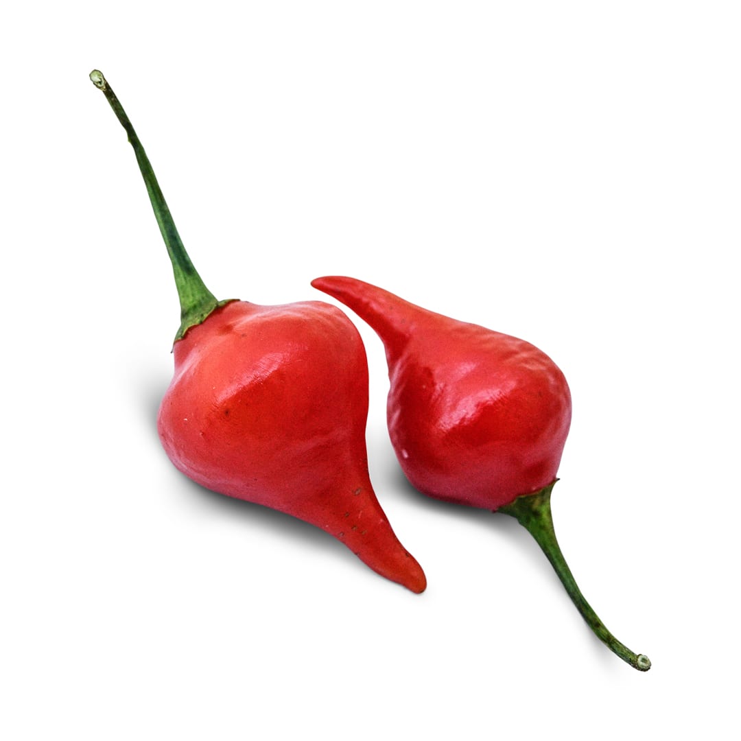 Hot Pepper Seeds, Biquinho Red