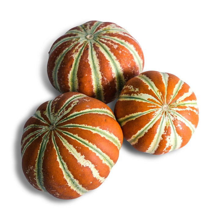 Melon Seeds, Kajari