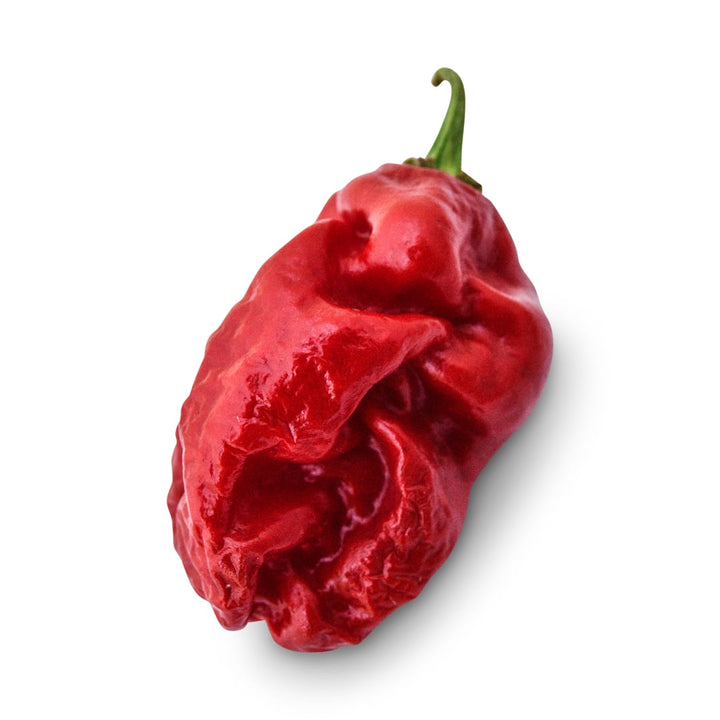 Hot Pepper Seeds, Asante