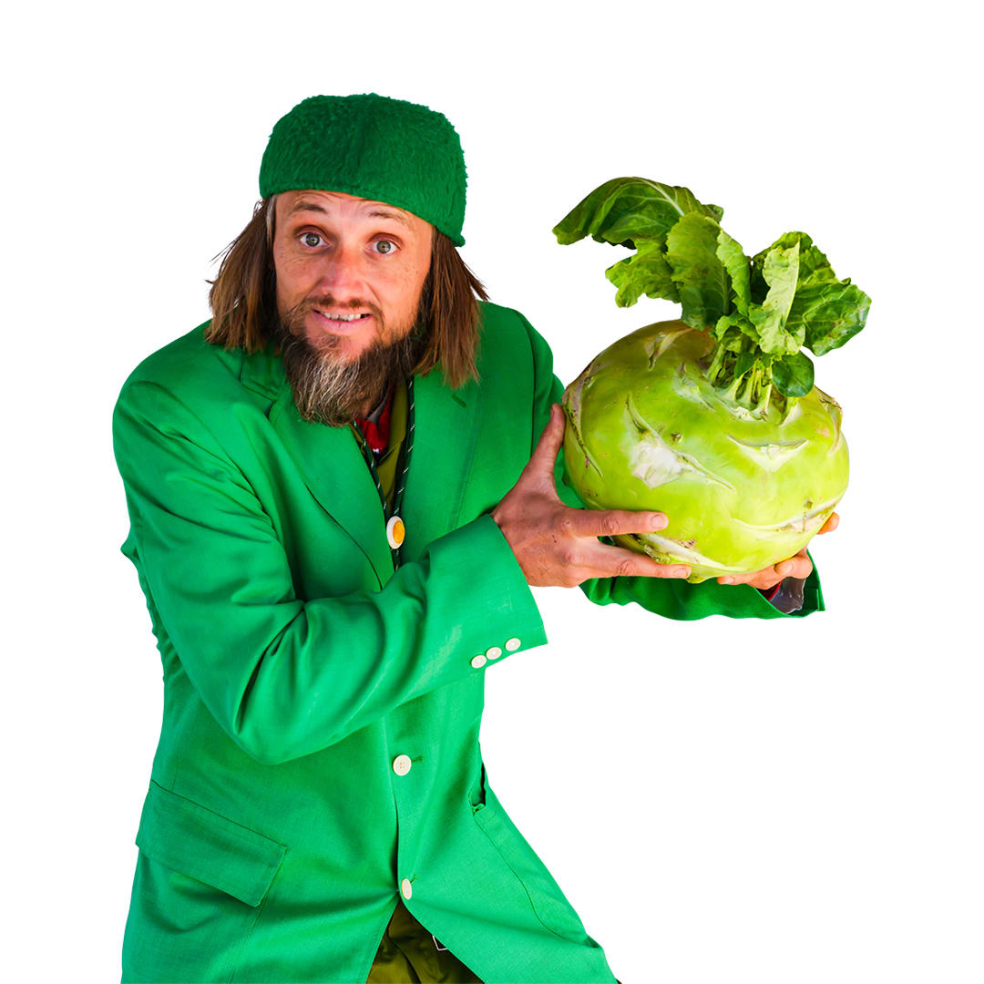 A man holds Superschmelz or Giant White Kohlrabi on a white background.