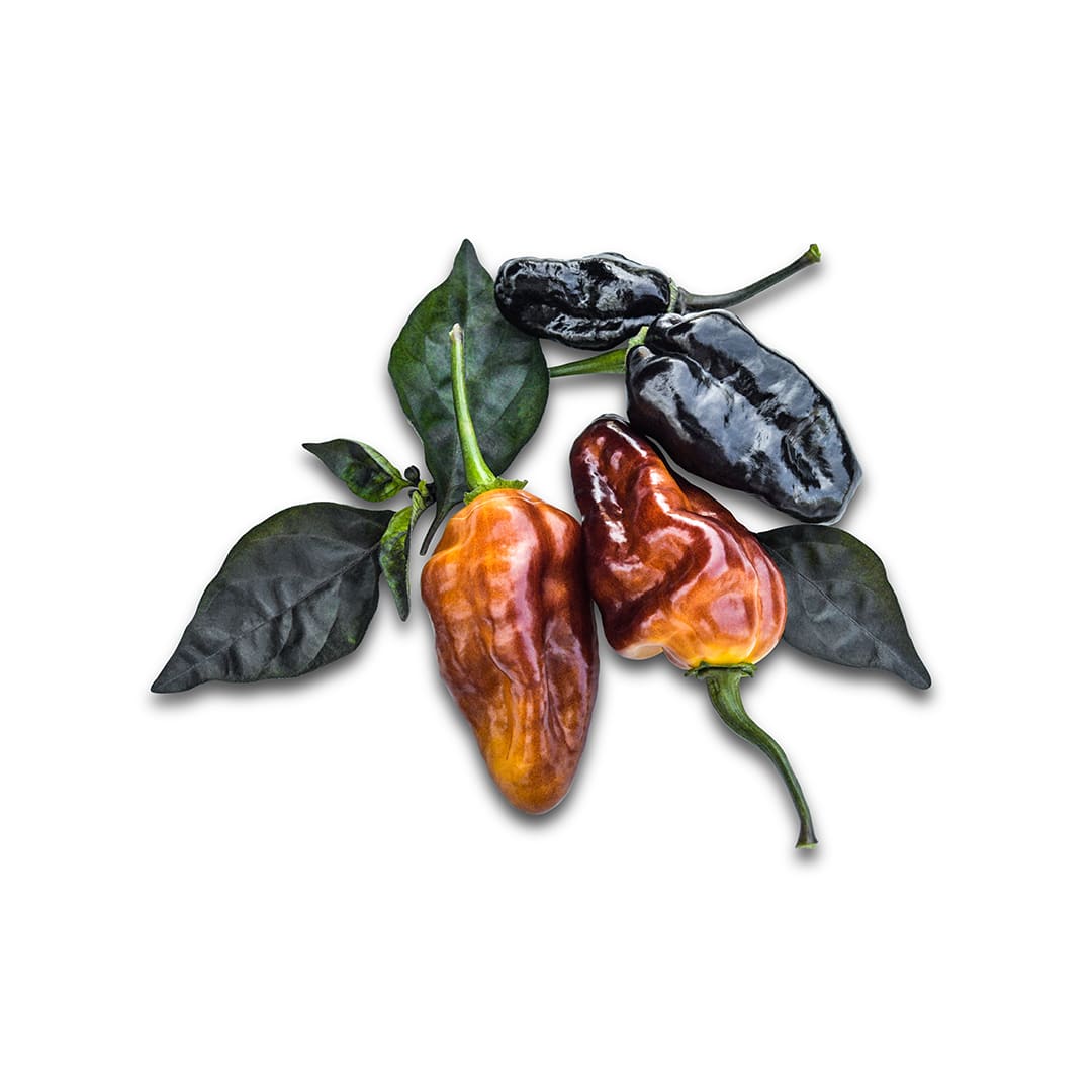 Hot Pepper Seeds, Puma