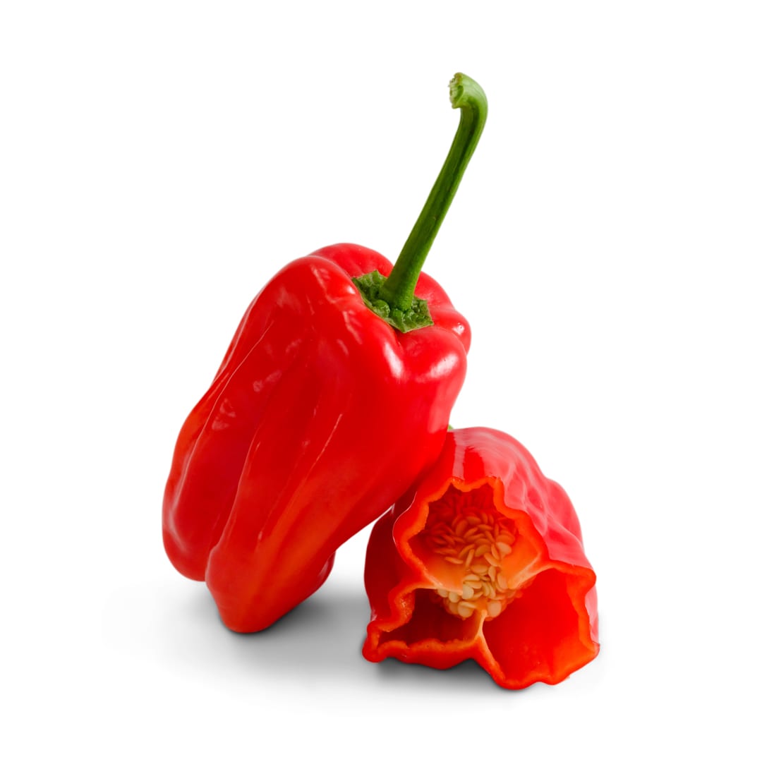 Hot Pepper Seeds, Pimiento De Padron