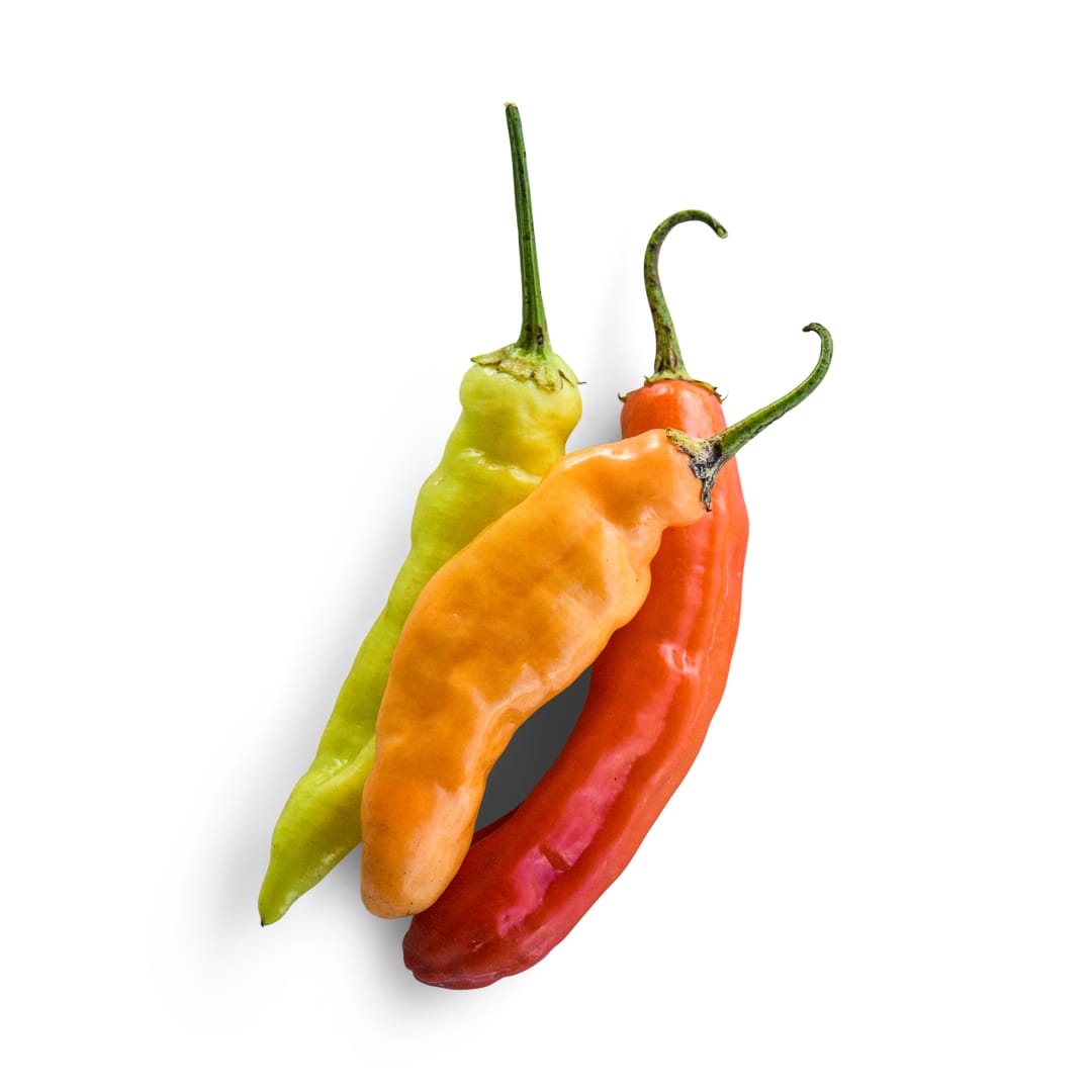 Hot Pepper Seeds, Aji Cristal