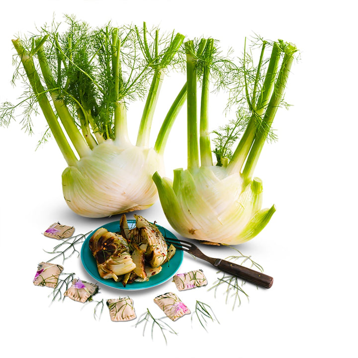 Fennel Seeds, Wadenromen
