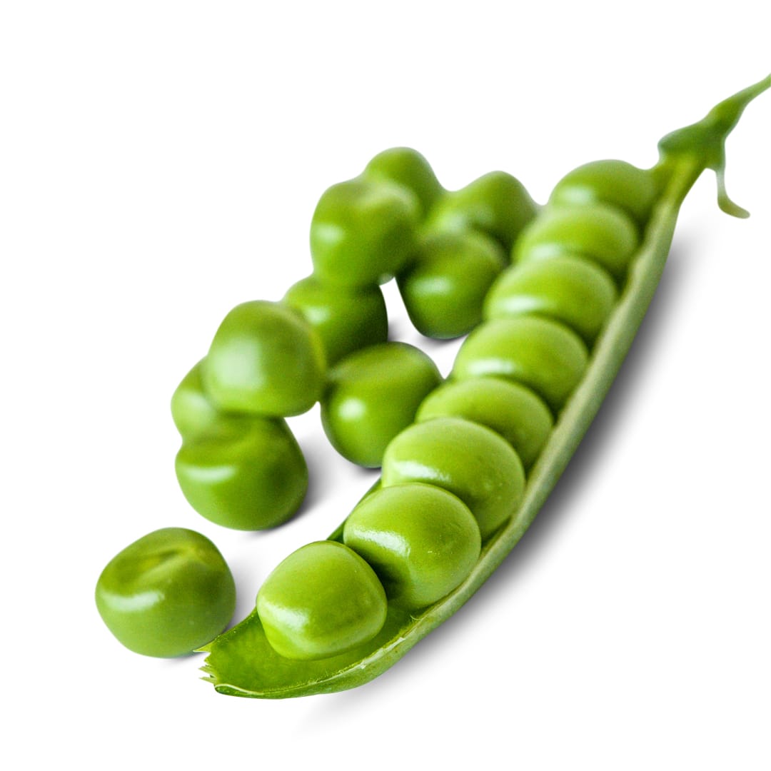 Pea Seeds, Kelvedon Wonder Garden