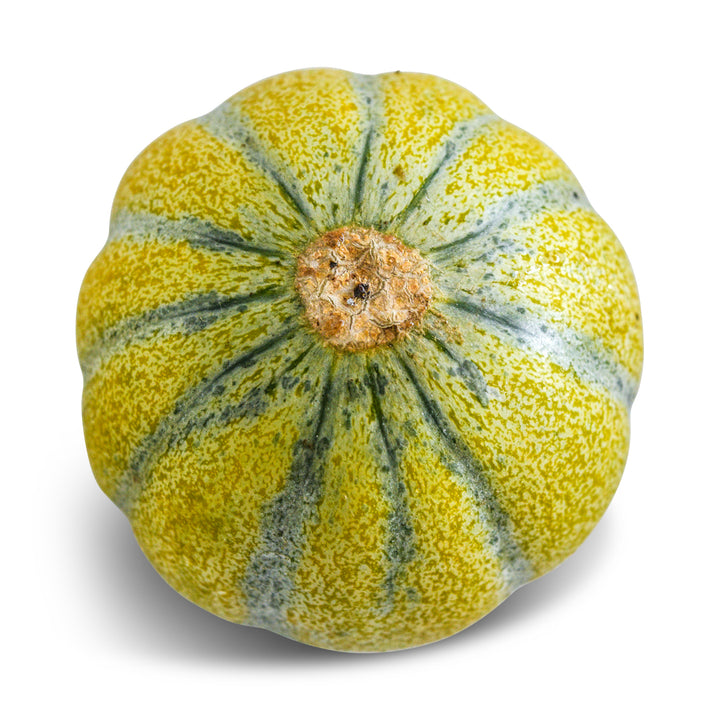 Melon Seeds, Ananas D'Amerique A Chair Verte