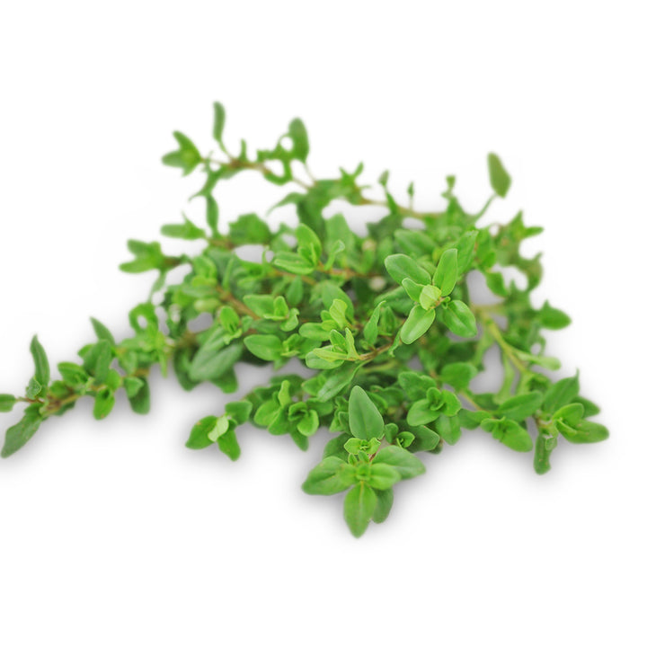 Thyme Seeds, Wild