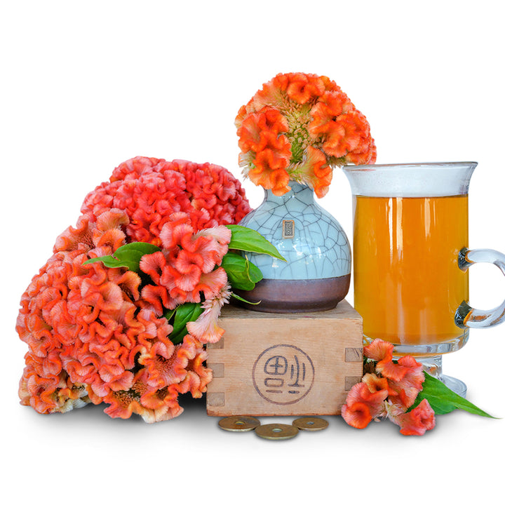 Celosia Seeds, Kumquat Orange Cockscomb