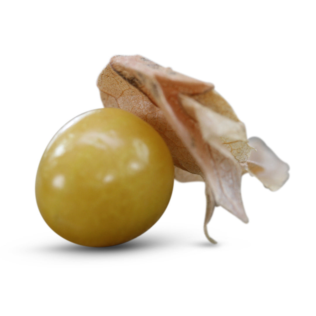 Ground Cherry Seeds, New Hanover