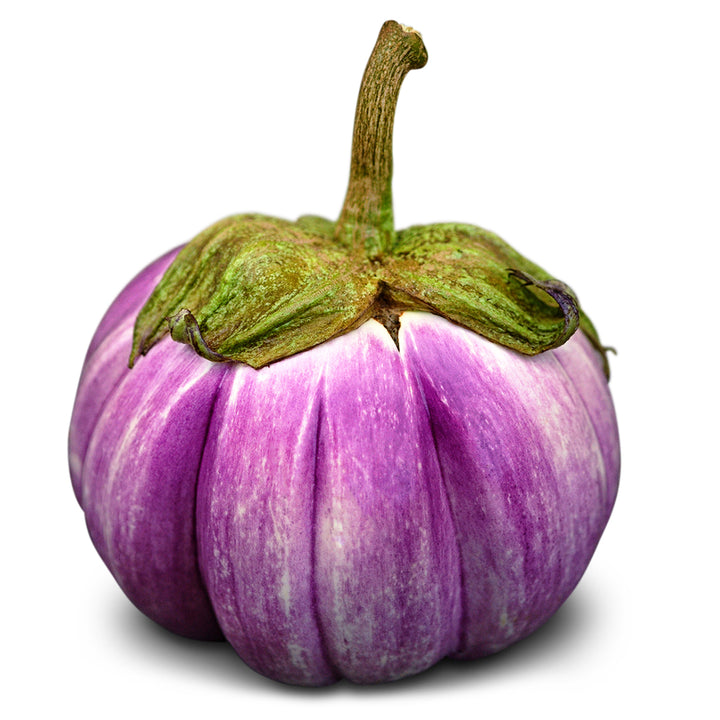 Eggplant Seeds, Rosa Bianca