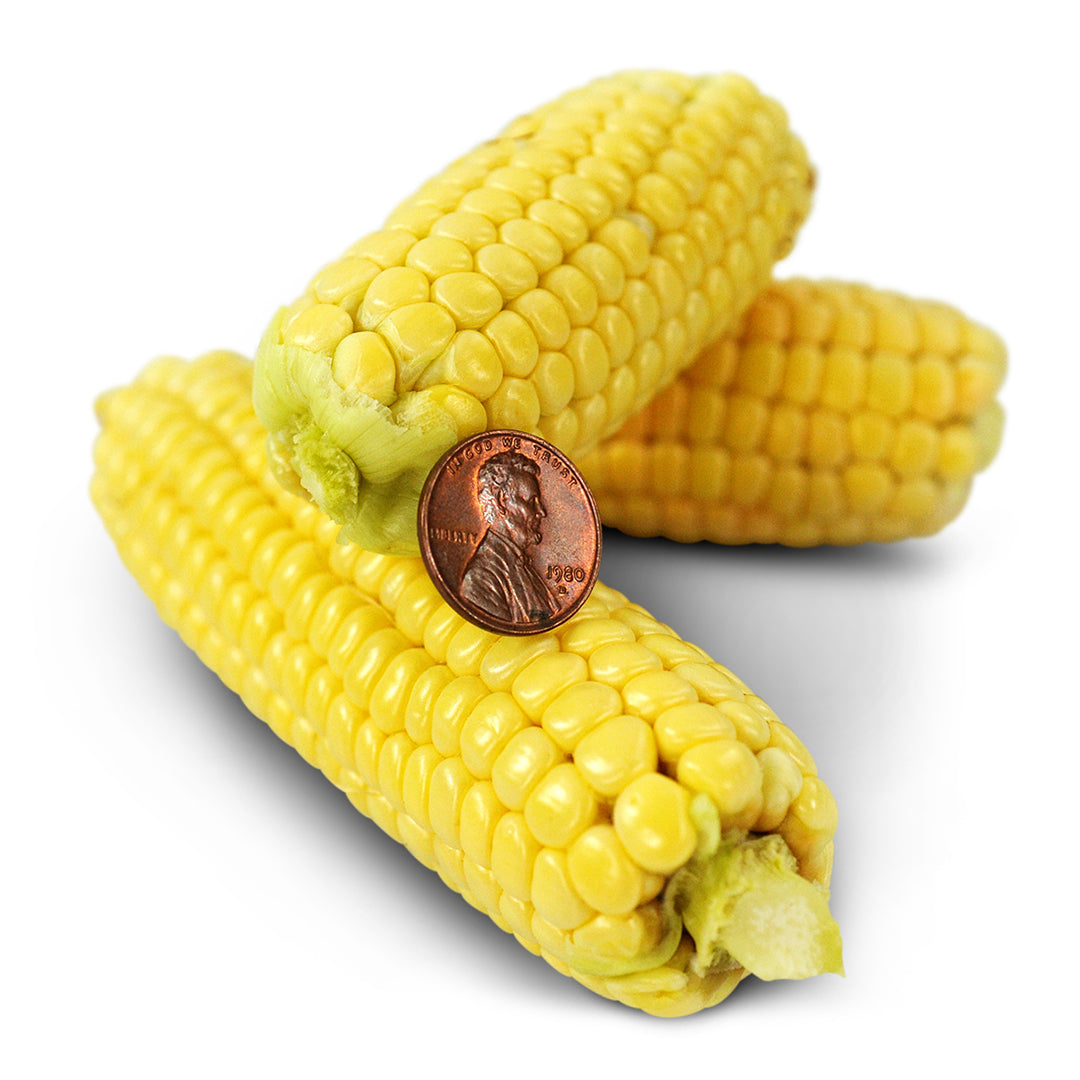 Corn Seeds, Orchard Baby Sweet