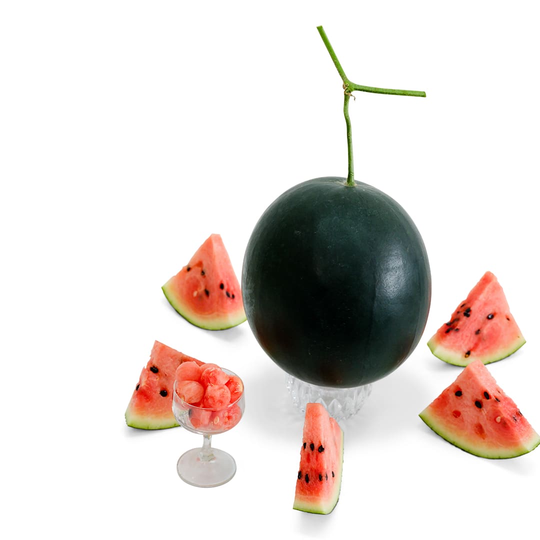 Watermelon Seeds, Black Jewel or Kurokodama