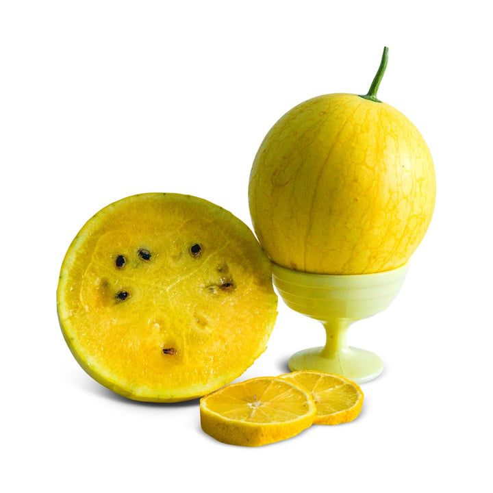 Watermelon Seeds, Lemon Drop