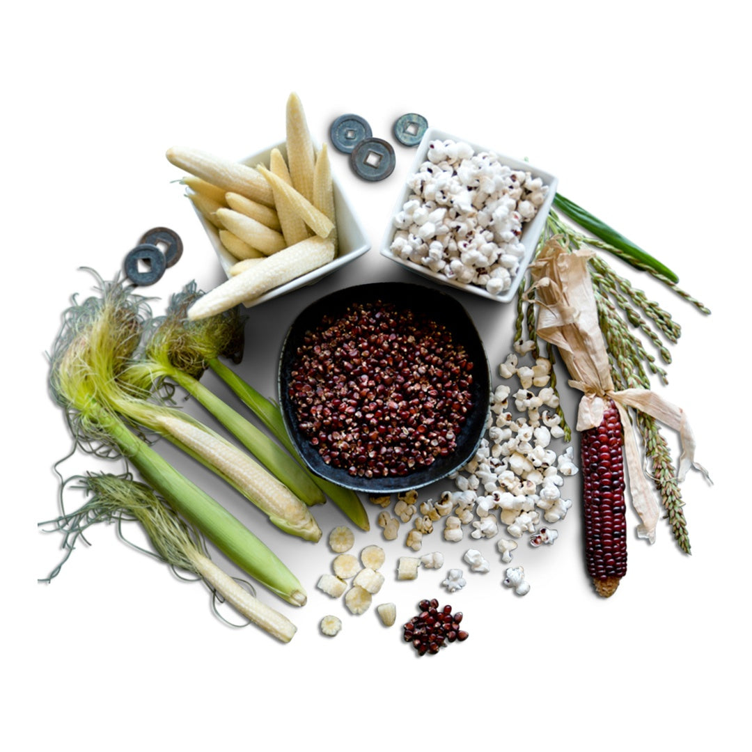 Corn Seeds, Chires Baby