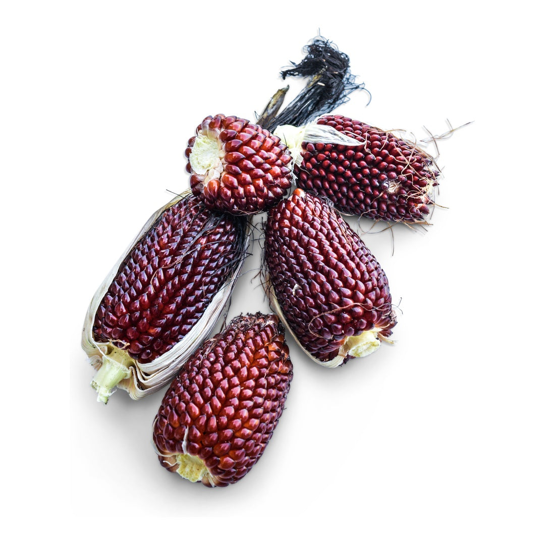 Corn Seeds, Strawberry Popcorn