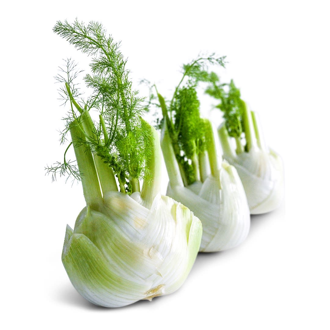 Fennel Seeds, Wadenromen