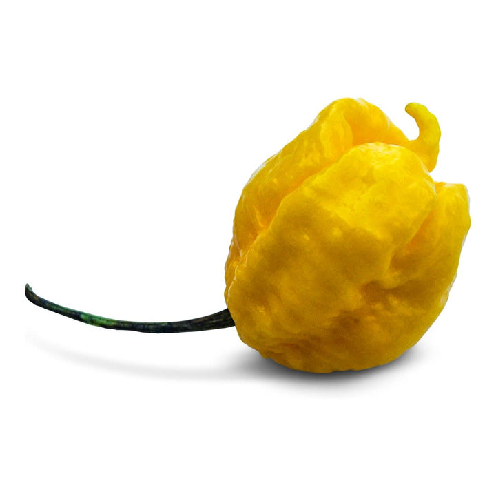 Hot Pepper Seeds, Yellow Seven Pot