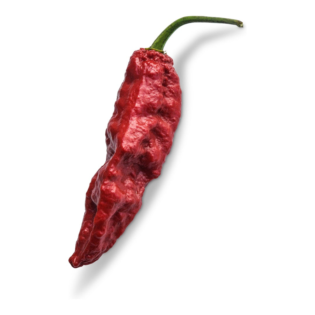 Hot Pepper Seeds, Leviathan Gnarly Scorpion Caramel