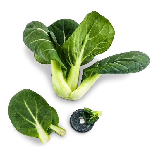Bok Choy / Tatsoi Seeds | Baker Creek Heirloom Seeds