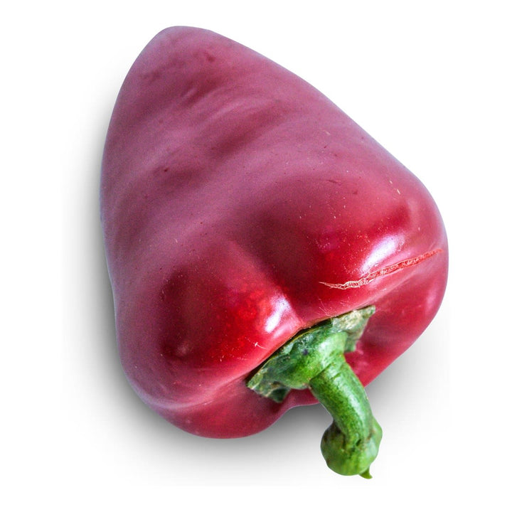 Sweet Pepper Seeds, Lipstick