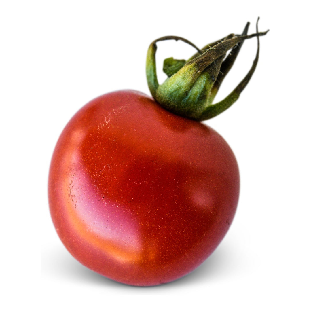 Tomato Seeds, Chadwick Cherry or Camp Joy
