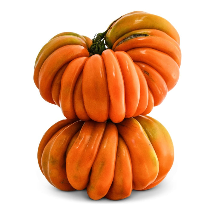 Pair of Orange Accordion Tomatoes stacked on a white background.